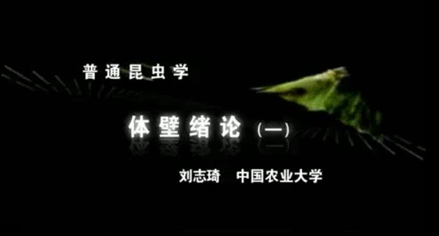 普通昆虫学视频教程 82讲 宋敦伦 中国农业大学